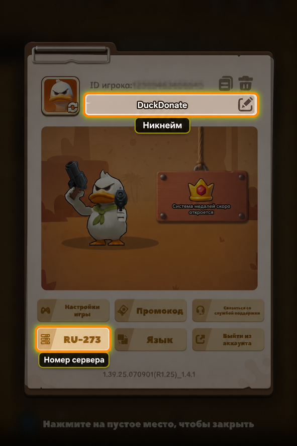Сервер и ник